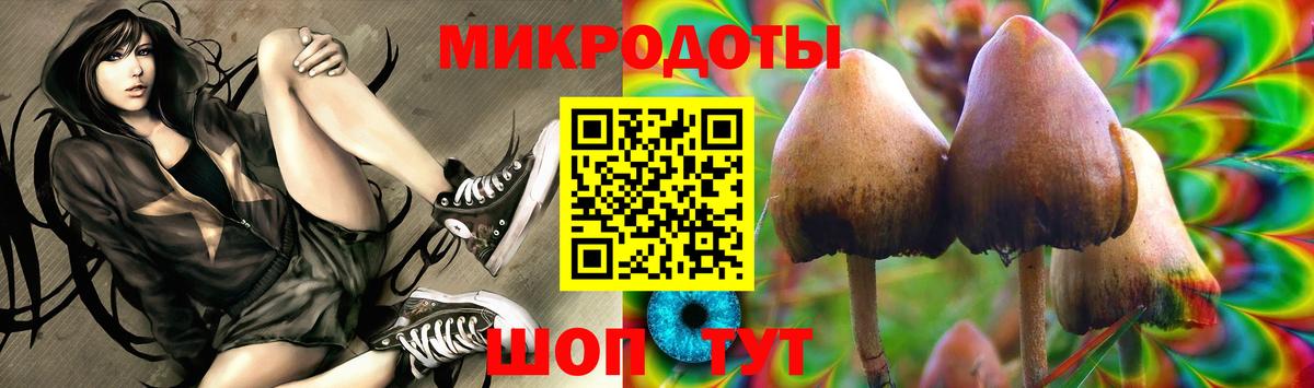 Галлюциногенные грибы MAGIC MUSHROOMS  Псилоцибиновые грибы мухоморы  Мелеуз  Вход с VPN 